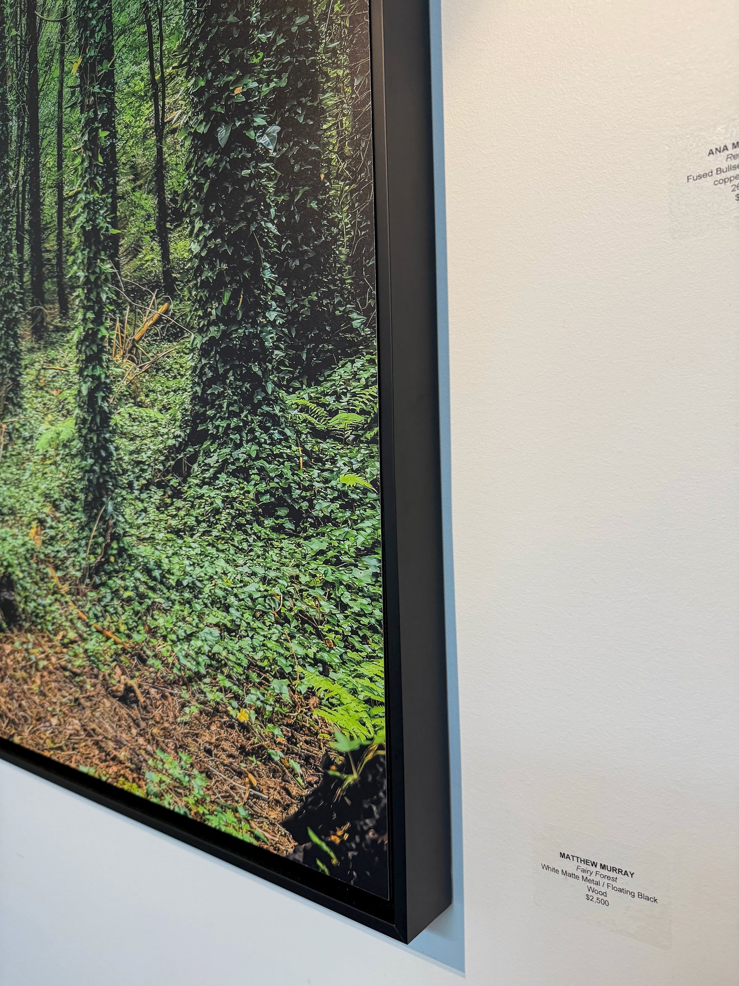 FAIRY FOREST: 54" x 36" White Matte Metal w/ Floating Black Frame