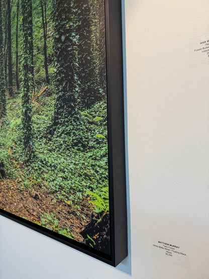 FAIRY FOREST: 54" x 36" White Matte Metal w/ Floating Black Frame