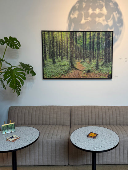 FAIRY FOREST: 54" x 36" White Matte Metal w/ Floating Black Frame