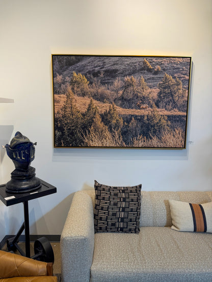 MONARCH (ELK) AT SUNSET: 60" x 40" White Matte Metal w/ Floating Gold Frame