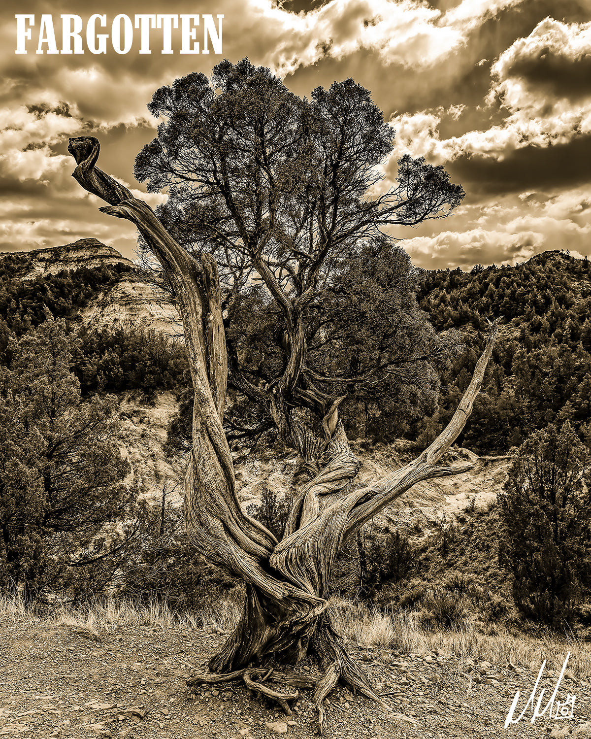 TREE OF LIFE: Puzzle