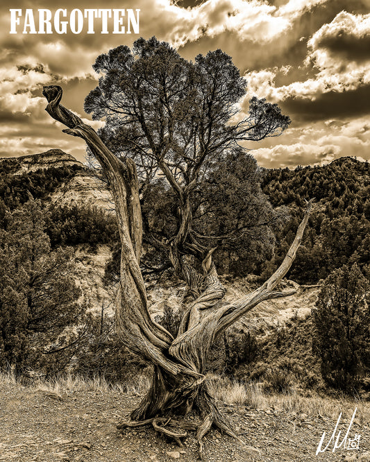 TREE OF LIFE: Puzzle